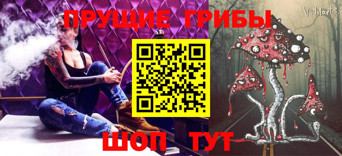 Псилоцибиновые грибы мицелий Красноярск