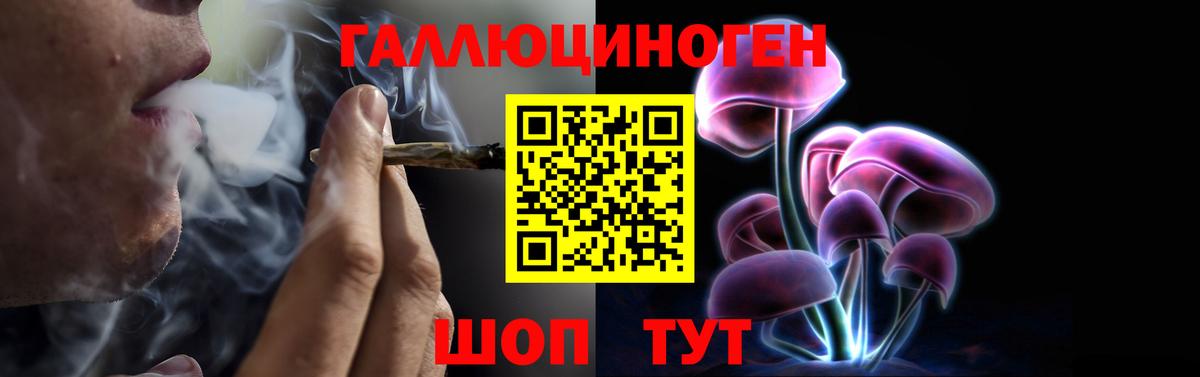 Псилоцибиновые грибы Psilocybine cubensis  Галлюциногенные грибы мицелий  Красноярск  наркотики  Вход с VPN 